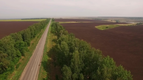Drone Flying Over Road Between Black Plowed Fields, Turning To Field And Moving Along Woodland Belt