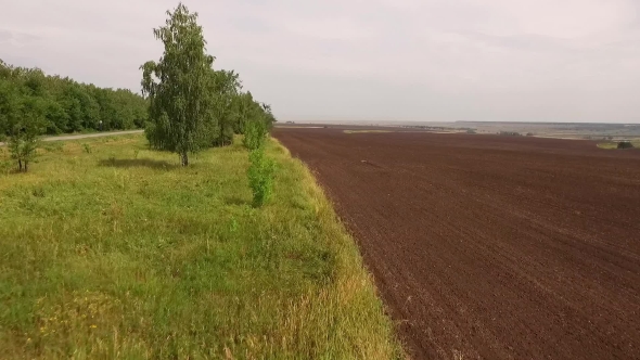 Drone Flying Along Edge Of Plowed Field, Near Woodland Belt With Birches And Road, Moving Up