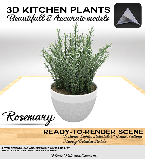 Rosemary Pot 3D - 3Docean 17754221