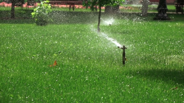 Sprinkler Irrigation In Park