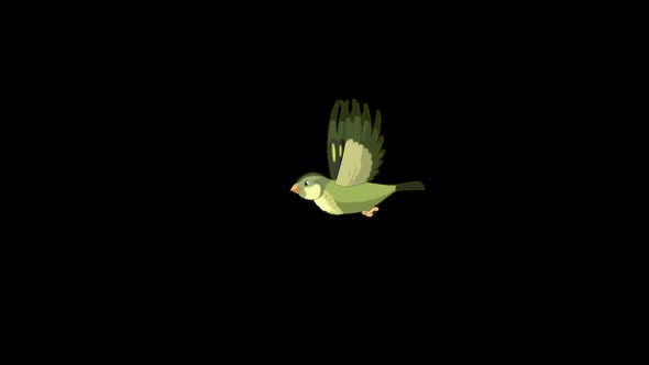 Flying Green forest bird long view alpha matte 4K