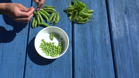 Depod Green Peas White Dish