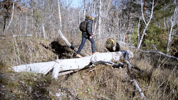 Adult Man Walks On Fallen Tree