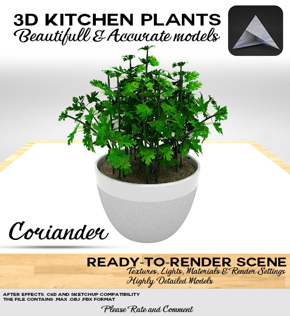 Coriander 3D Pot - 3Docean 17761385