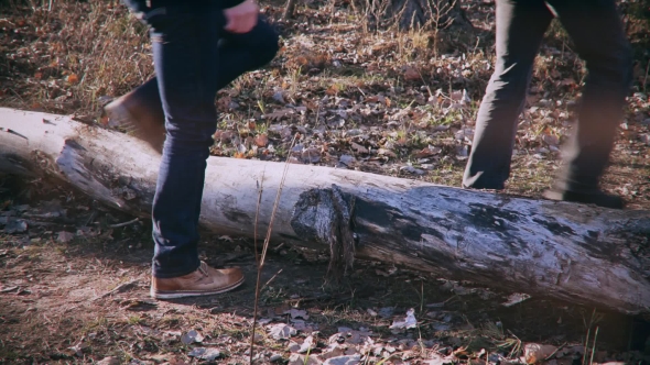 Legs Of Two Men Stepping Over Fallen Tree In Forest In Autumn