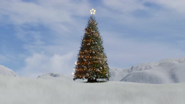 Christmas Tree In A Cold Winter Landscape