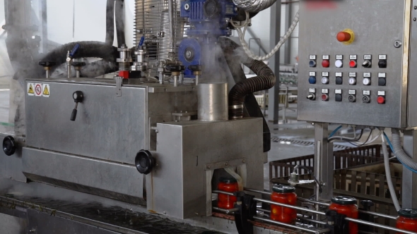 Automatic Line For Processing And Canning Vegetables . Preserving Tomatoes 2 alt