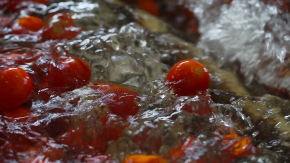 Automatic Line For Processing And Canning Vegetables . Preserving Tomatoes 9 alt