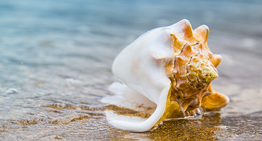 Sea, ocean, Summertime, Vacation