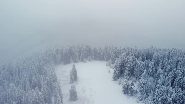 558 Flying Above Hazy Winter Forest in Mountain Valley