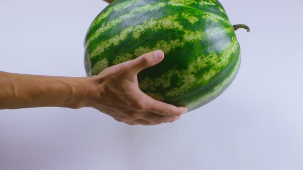 Hands Inspect Watermelon alt