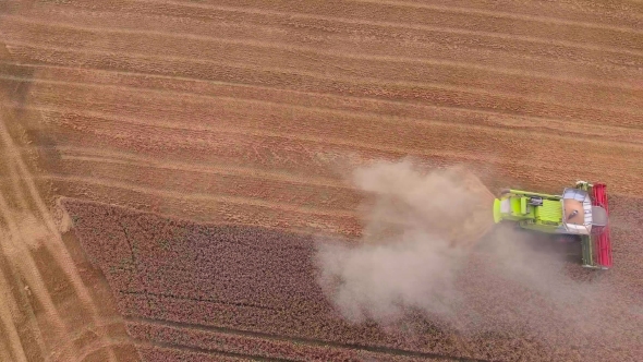 Harvester Working In The Fields