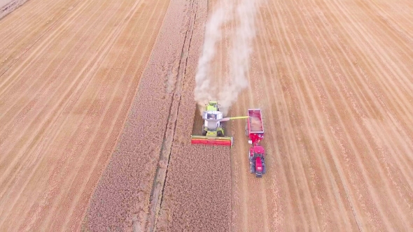 Harvester Working In The Fields