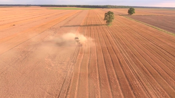 Harvester Working In The Fields