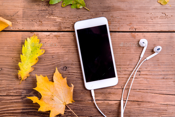 leaf wooden earphones