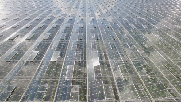 Aerial view of an Agricultural Greenhouse with green plants inside