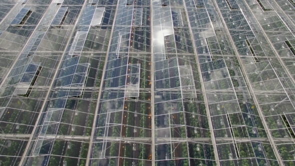 Aerial view of an Agricultural Greenhouse with green plants inside