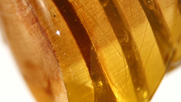 Thick Honey Dripping alt