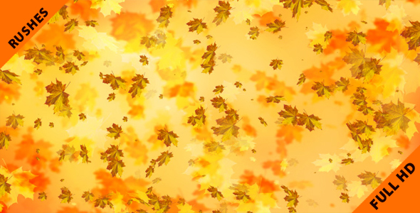 Autumn Leaves - Seasonal Background