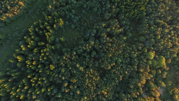 Aerial View To Green Summer Forest And Power Line 17 alt