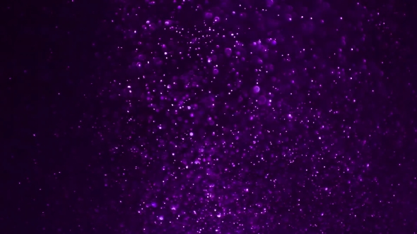 Purple Particles Background, Motion Graphics | VideoHive