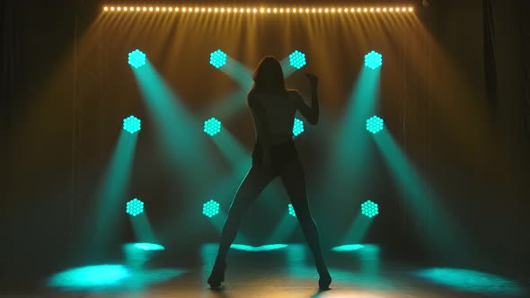 Silhouette of a Young Gorgeous Lady in Seductive Short Shorts and a Top, Seductively Dances on Stage alt