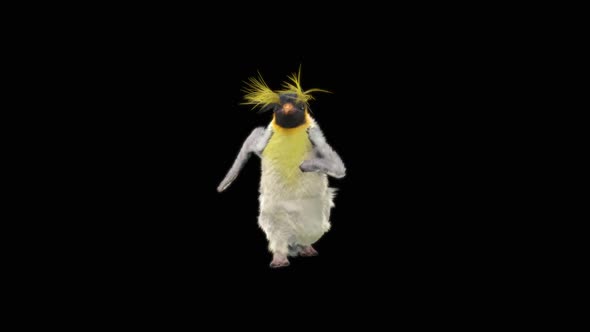Penguin Dancing HD alt