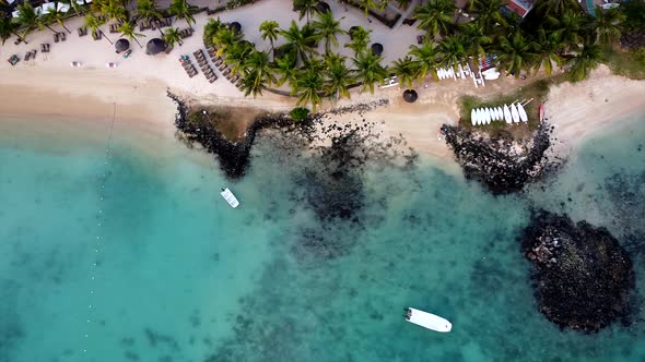 Birds eye top down aerial of colorful sea shore,golden beach,palm tree and rocks in transparent blue alt