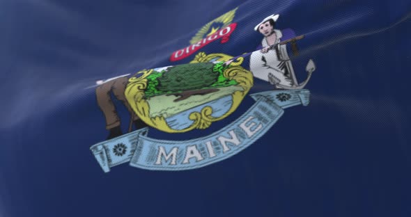 Flag of American State of Maine alt