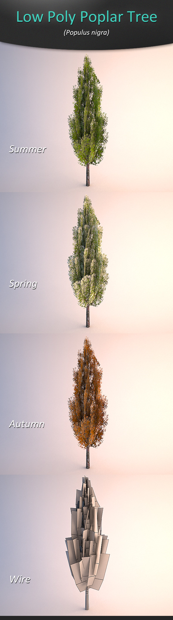 Low Poly Poplar - 3Docean 1770784