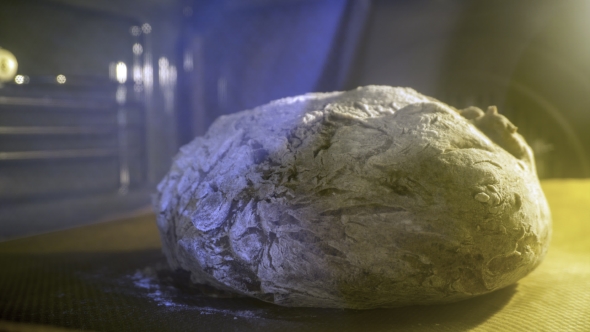 Baking Homemade Bread In The Oven alt