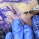 Artist Creating Tattoo - VideoHive Item for Sale