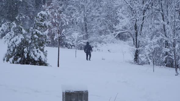 Snow Scene In The Park 8 alt