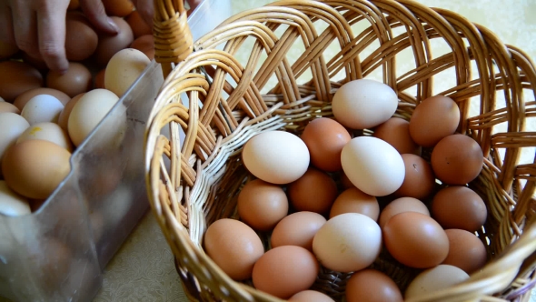 Woman Adds Eggs In Wicker Basket, Close