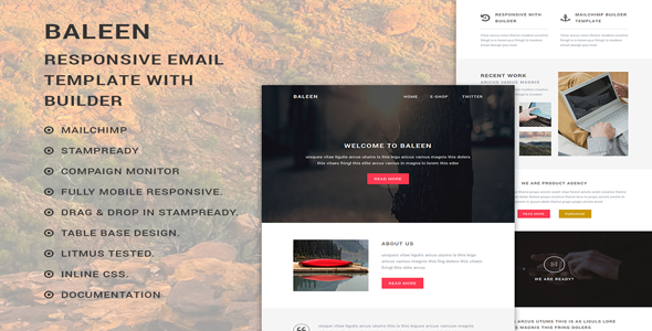 baleen - Responsive - ThemeForest 17869630