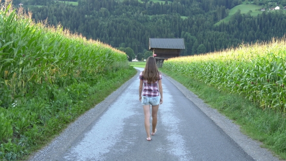 Woman Walks Between Corn Fields