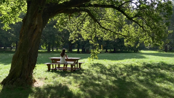 Woman Texting Sms Sitting On Bench Under Big Tree