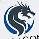 Dragon Logo V3 by graphicsstudio1234 | GraphicRiver