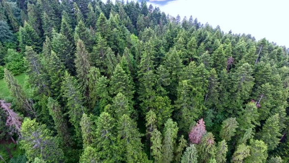 Aerial View Of Castle On Lake Bank