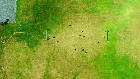 People Playing Soccer Top Down View