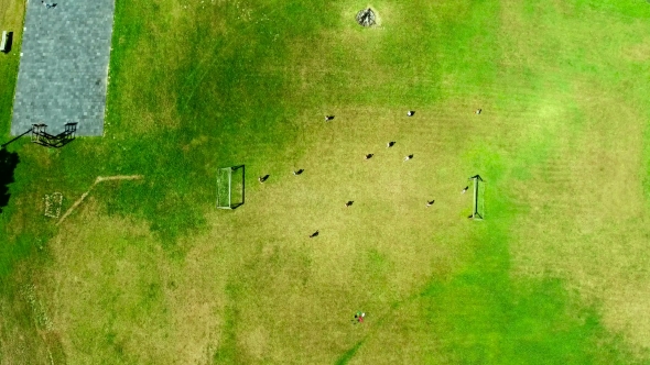 People Playing Soccer Top Down View