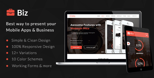 Biz - Business - ThemeForest 9563056