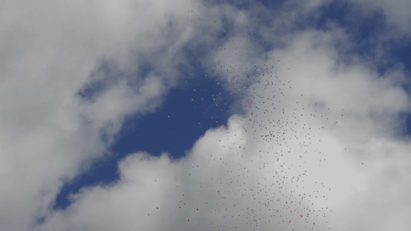 a Lot Of Balloons In The Sky