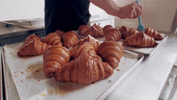 Baker Greases Freshly Baked French Croissants with Ghee at Bakery alt