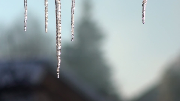 Icicle Hanging From the Roof. Dripping Icicles. 