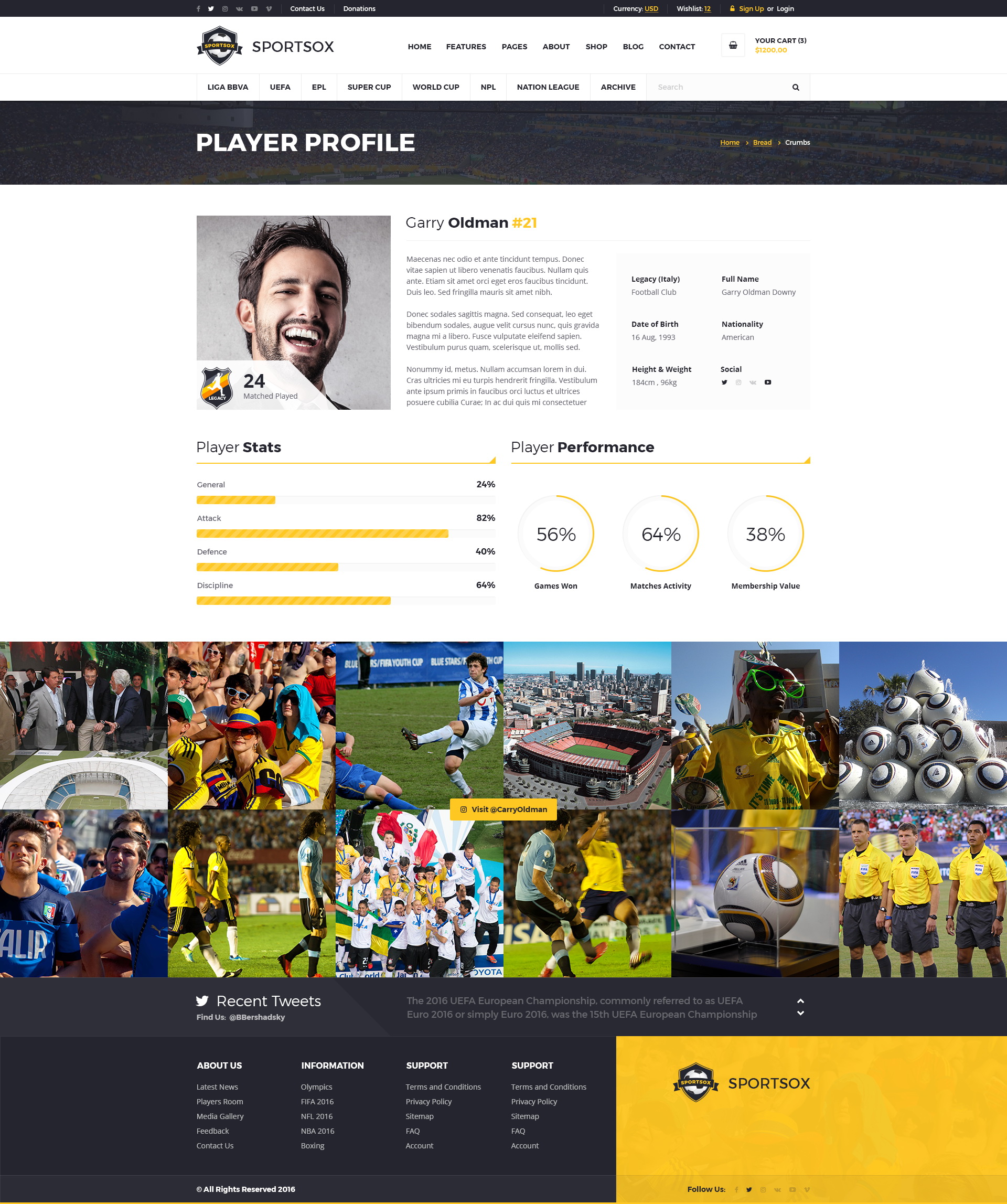 player profile templates