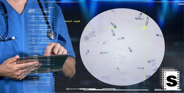 Virus Classification alt