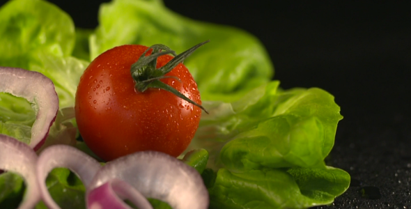 Lettuce Tomato And Onion Salad By Cinegeek Videohive