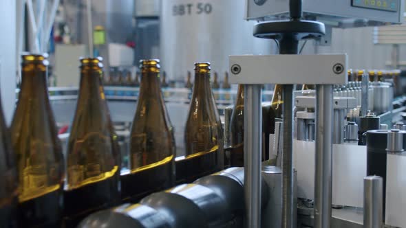  Beer Bottles On A Production Line