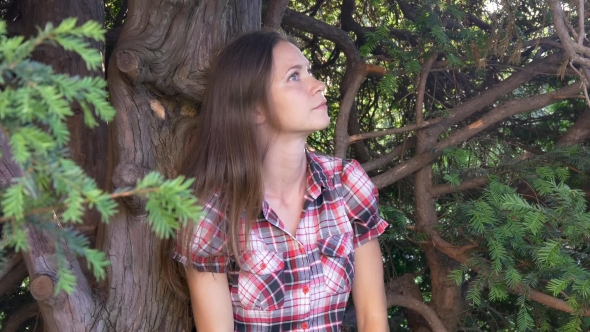 Woman Looking On Amazing Branches Of Fir Tree alt